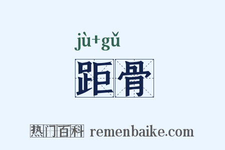 距骨是什么意思的图片